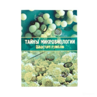 Набор «Тайны микробиологии» (Царство грибов) - fgospostavki.ru - Киров