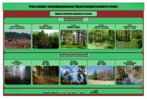Стенд-планшет электрифицированный «Оценка пожарной опасности в лесах»  - fgospostavki.ru - Киров