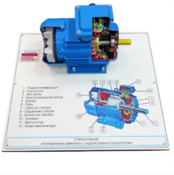 Стенд-планшет «Асинхронный двигатель с короткозамкнутым ротором» - fgospostavki.ru - Киров