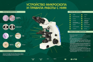 Электрифицированный стенд "Устройство микроскопа и правила работы c ним" - fgospostavki.ru - Киров