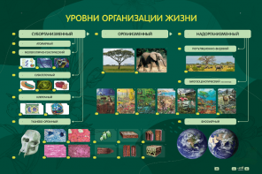 Электрифицированный стенд "Уровни организации жизни" - fgospostavki.ru - Киров