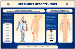 Электрифицированный стенд-тренажер "Остановка кровотечения" - fgospostavki.ru - Киров
