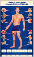 Электрифицированный стенд-тренажер "Травматизм и меры оказания первой помощи" - fgospostavki.ru - Киров