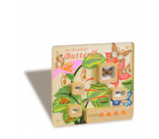 Панель «Жизненный цикл бабочки» - fgospostavki.ru - Киров