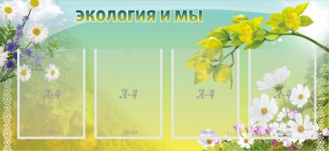 Стенд "Экология и мы" - fgospostavki.ru - Киров