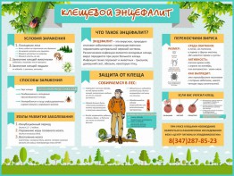 Стенд "Клещевой энцефалит" - fgospostavki.ru - Киров