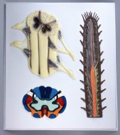 Модель барельефная "Строение спинного мозга" - fgospostavki.ru - Киров