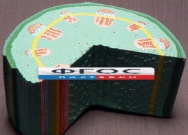 Модель "Стебель растения" - fgospostavki.ru - Киров