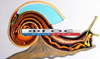 Модель барельефная "Внутреннее строение брюхоногого моллюска" - fgospostavki.ru - Киров