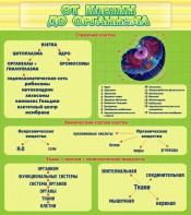 Стенд "От клетки до организма" - fgospostavki.ru - Киров