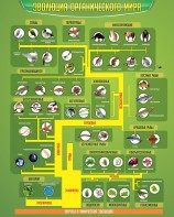 Стенд "Многообразие органического мира" - fgospostavki.ru - Киров