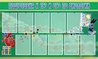 Стенд "Подготовка к ЕГЭ и ОГЭ по биологии" Вариант 2 - fgospostavki.ru - Киров