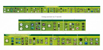 Стенд "Классификация групп животных" - fgospostavki.ru - Киров