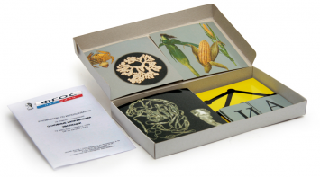 Модель-аппликация "Основные направления эволюции" (набор из 33 карт) - fgospostavki.ru - Киров