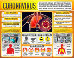 Плакат "Коронавирус" (вариант 2) - fgospostavki.ru - Киров