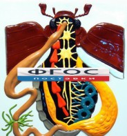 Модель барельефная "Внутреннее строение жука" - fgospostavki.ru - Киров