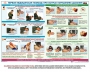 Комплект плакатов "Оказание первой доврачебной медицинской помощи" - fgospostavki.ru - Киров
