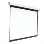 Экран настенный с электроприводом DSEF-16909 - fgospostavki.ru - Киров