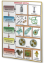 Плакаты по биологии для оформления кабинета. - fgospostavki.ru - Киров